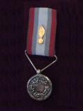 Medal of Internal Security (2001)
